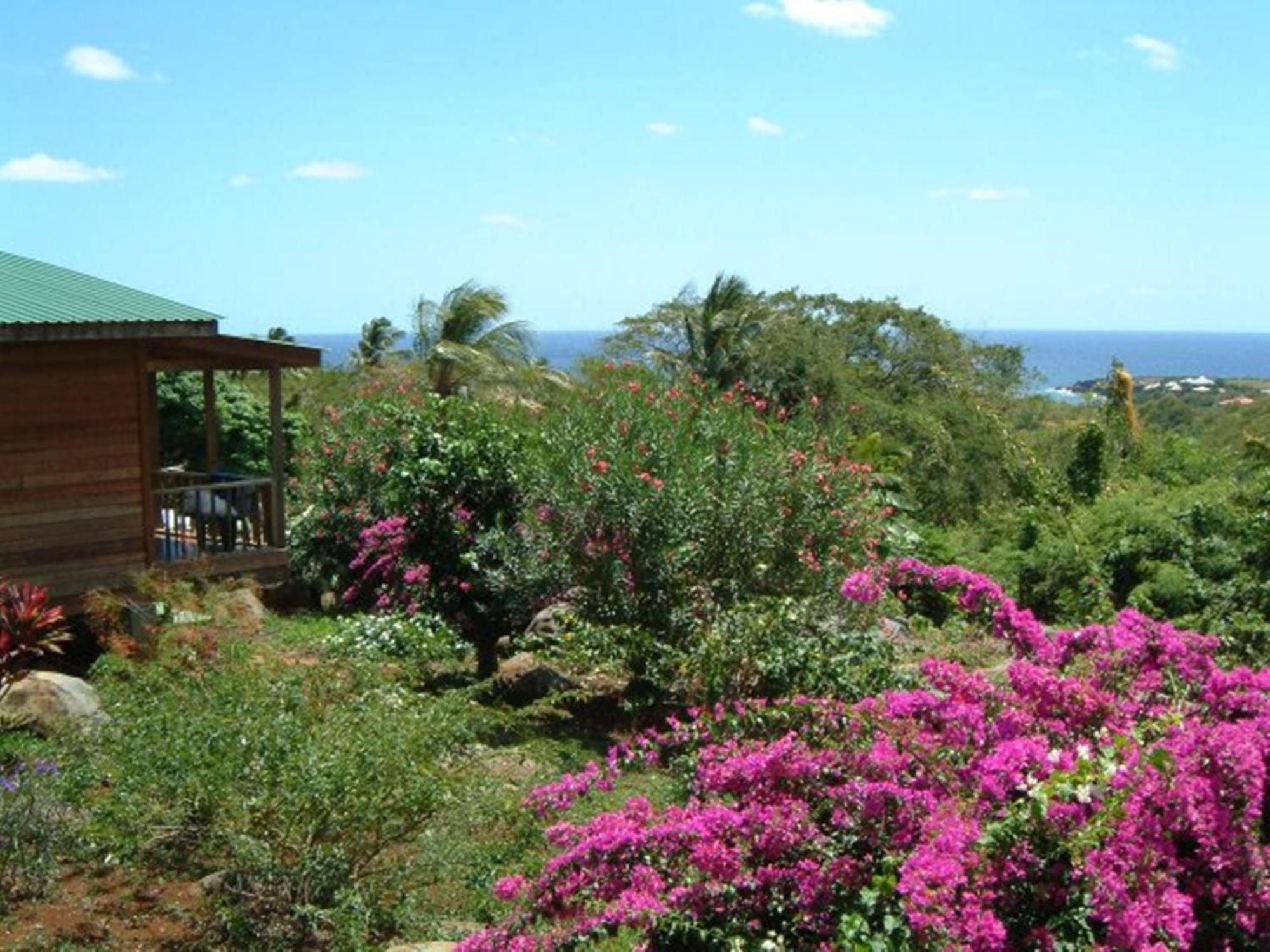 Big Sky Lodge Crochu Luaran gambar